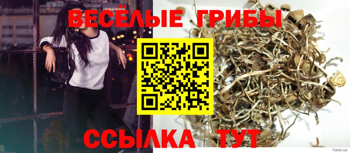 Луховицы  Псилоцибиновые грибы Psilocybe  Галлюциногенные грибы Cubensis  Вход с VPN 